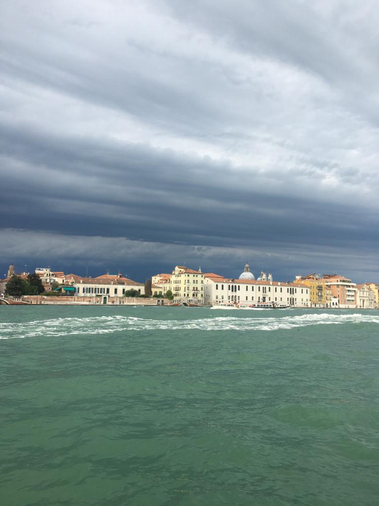 Espresso Cup Handle - Marubio