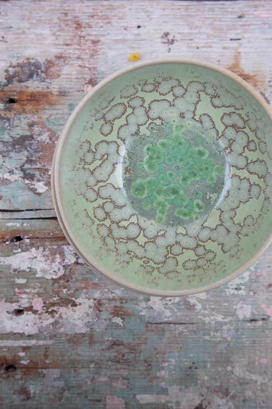 Bowl - Alghe