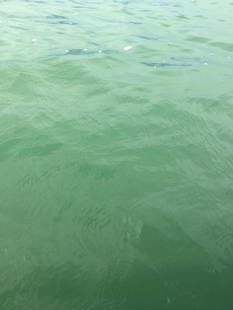 Espresso Cup - Marubio