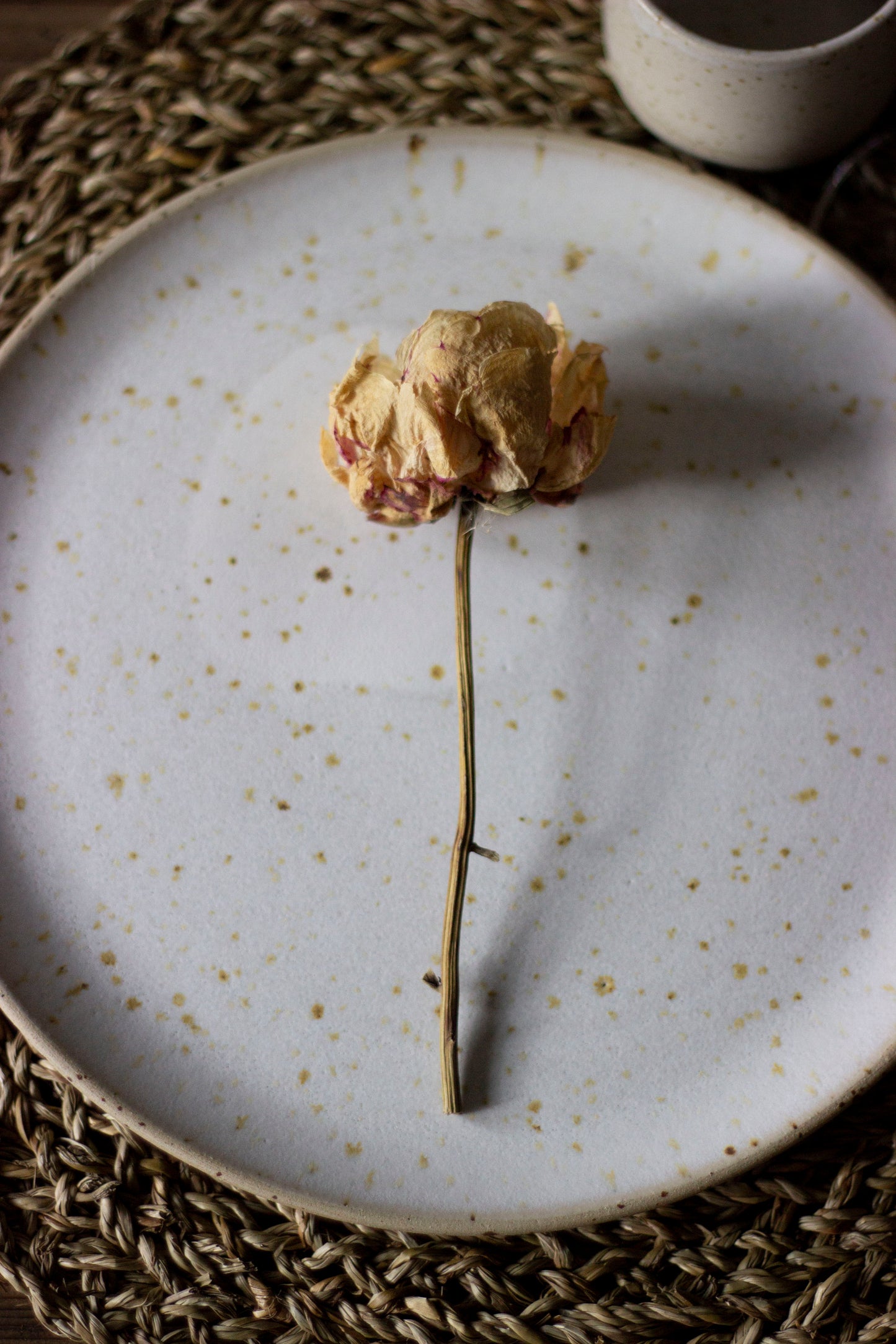 Dinnerware Set - Piera del Doge